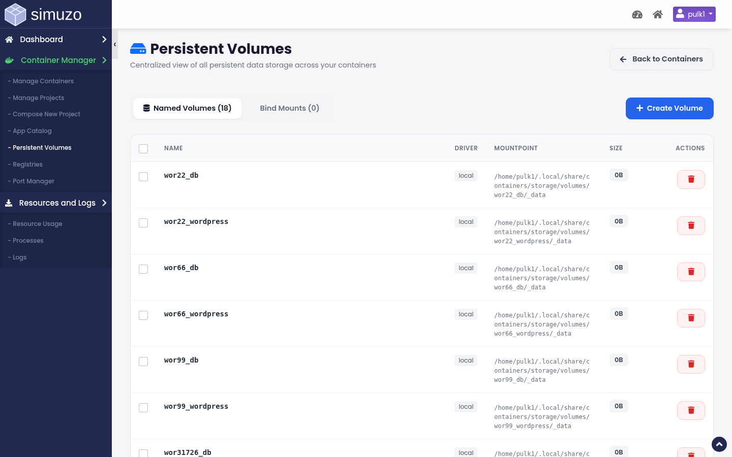 Persistent Volumes